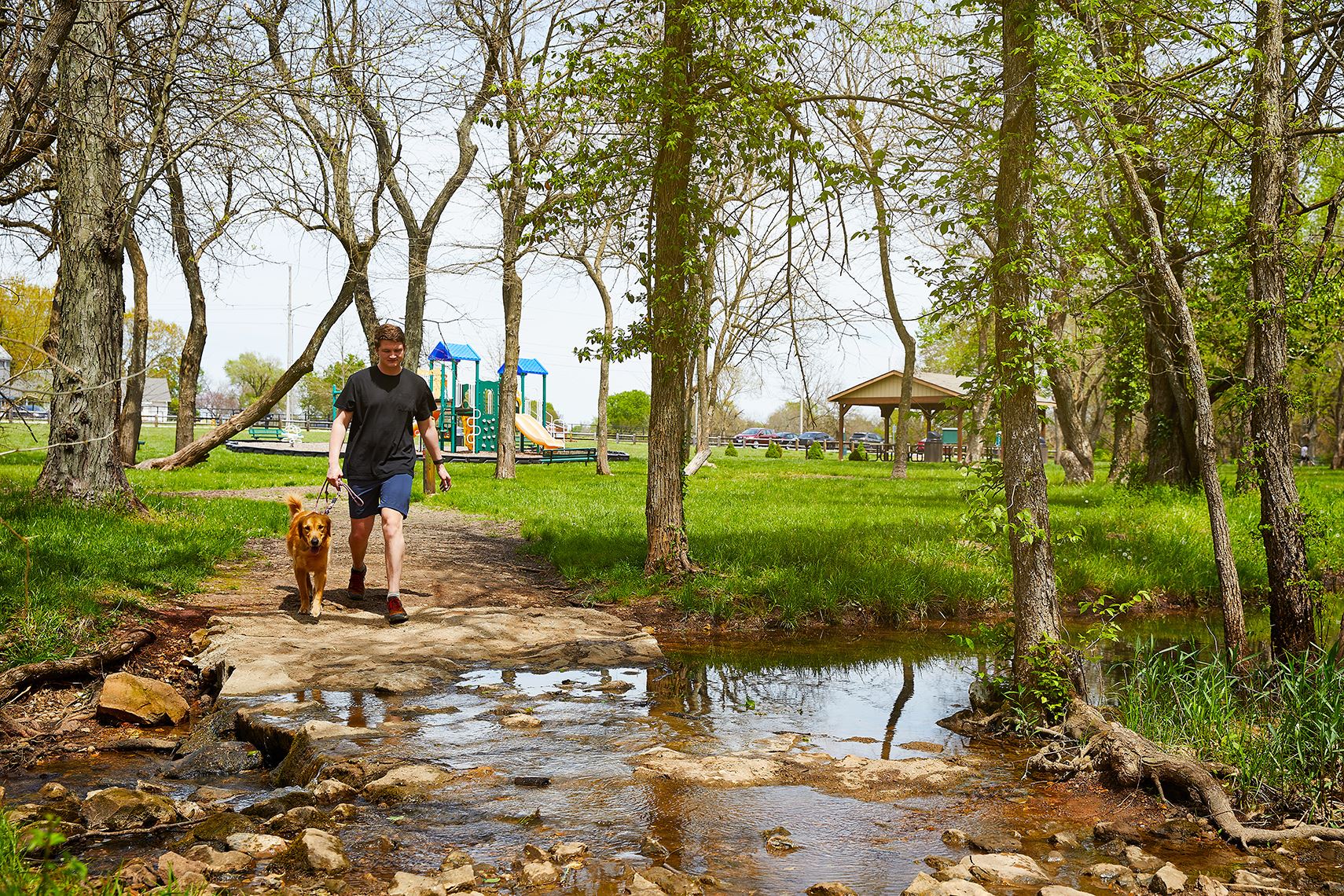 Brookline Park - Walking Dog, Creek